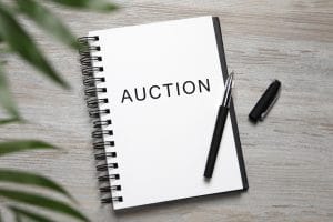 auction listings