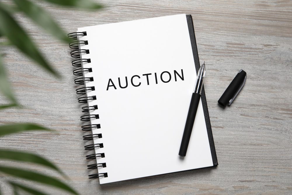 auction listings